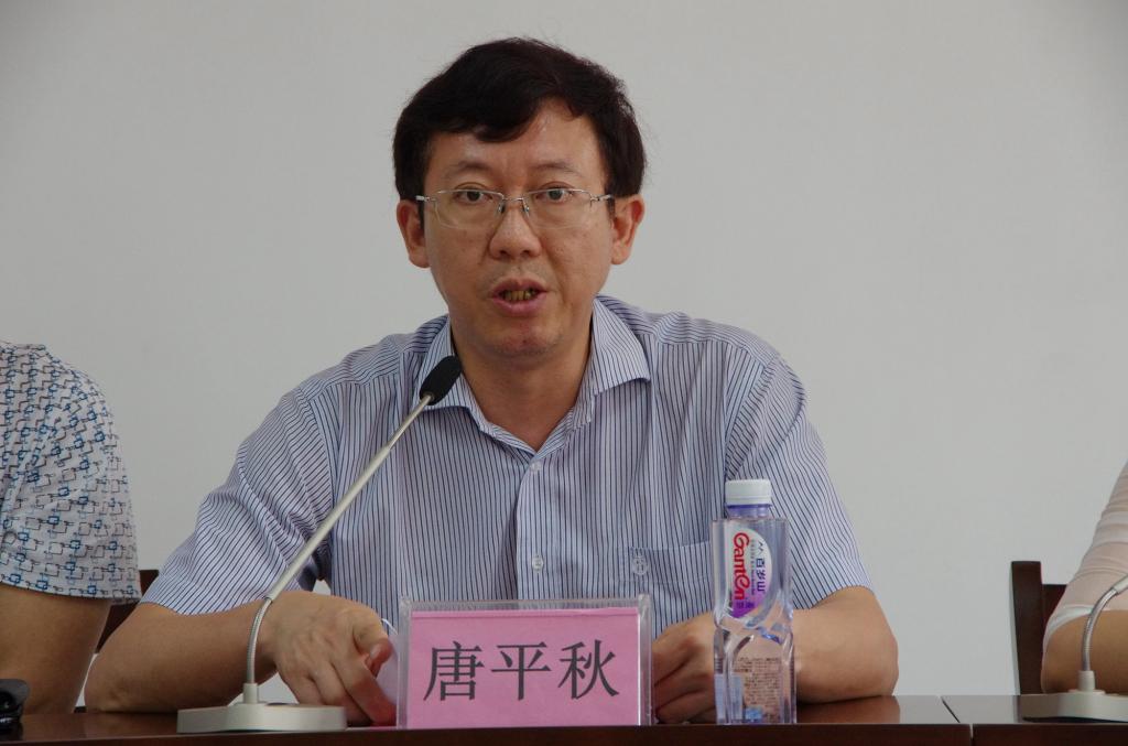 唐平秋副书记在会上发言。
